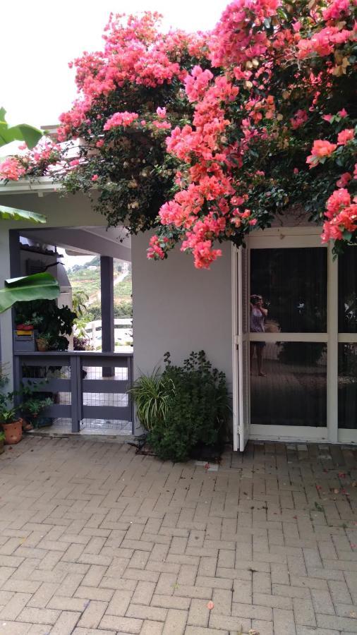 Villa Casa Deni Nova Petropolis Exterior foto