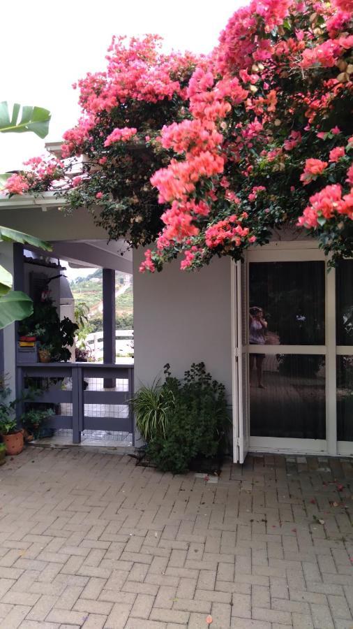 Villa Casa Deni Nova Petropolis Exterior foto