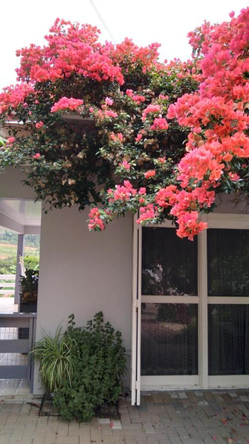 Villa Casa Deni Nova Petropolis Exterior foto