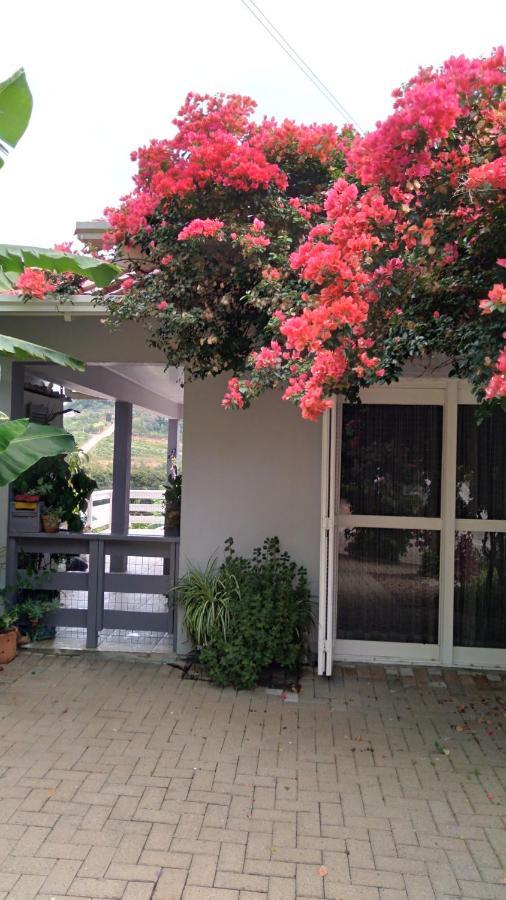 Villa Casa Deni Nova Petropolis Exterior foto