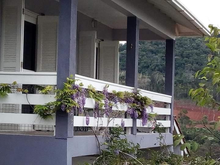 Villa Casa Deni Nova Petropolis Exterior foto